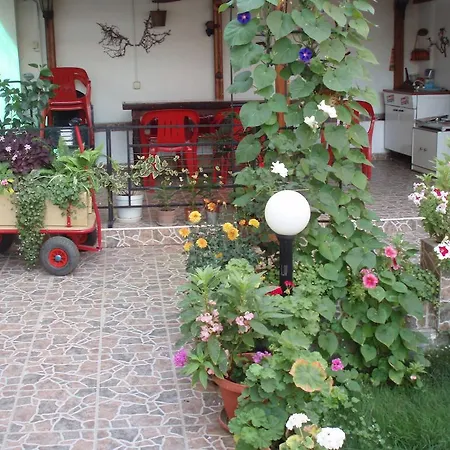 Minchevi Kraymorie