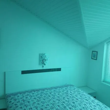 Minchevi 2*
